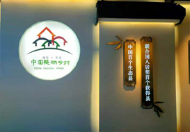 陳放院長受邀考察中國美麗鄉(xiāng)村建設示范村-浙江安吉